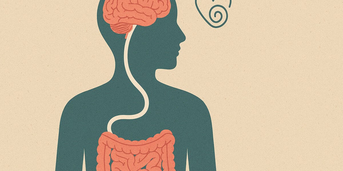 İkinci beyin, bağırsaklarımız ile ruhsal zihin arasındaki bağlantıyı temsil eden görsel.