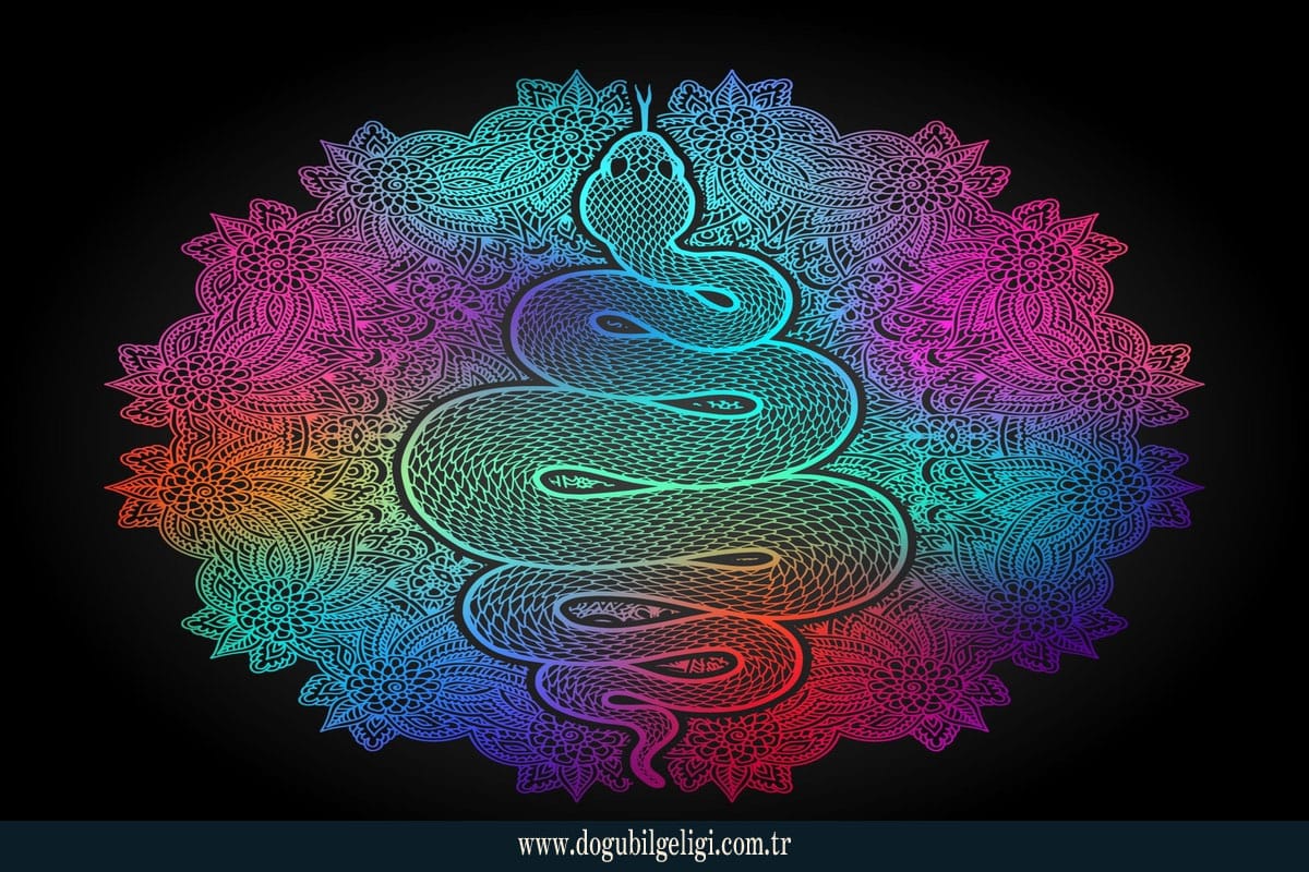 Kundalini enerjisini simgeleyen yılan figürü, Doğu mistisizminde bilinç ve ruhsal uyanışı temsil eden mistik sembol